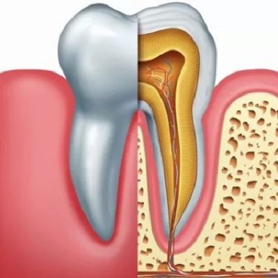 What To Expect From A Root Canal Procedure?